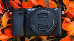 ERBONGKAR! Harga Kamera Mirrorless Terbaru 2025: Panduan Lengkap Pilihan Terbaik untuk Fotografer & Vlogger!