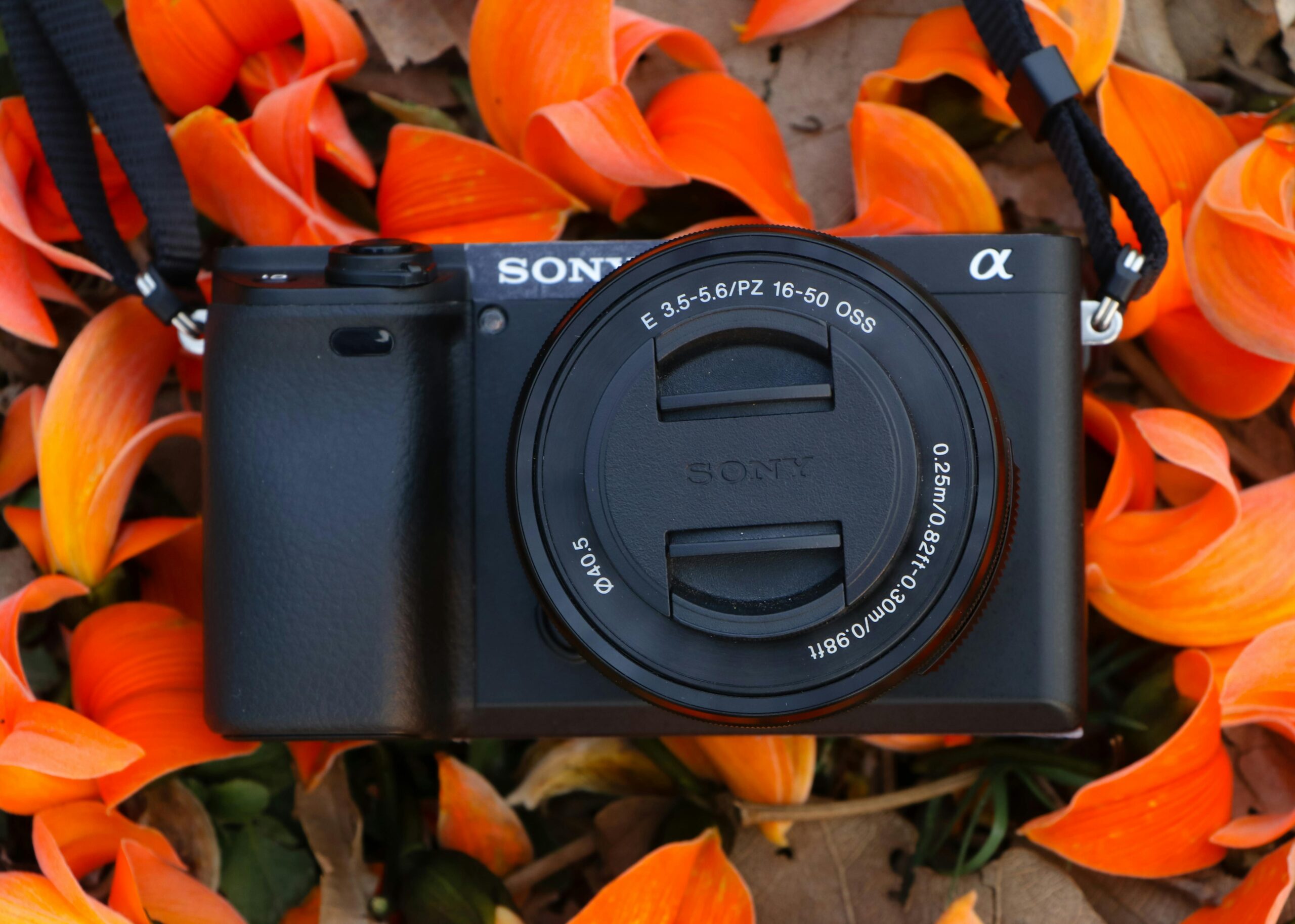 ERBONGKAR! Harga Kamera Mirrorless Terbaru 2025: Panduan Lengkap Pilihan Terbaik untuk Fotografer & Vlogger!