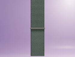 Pilihan Terbaik! Rekomendasi Tali Apple Watch Terbaik 2025: Stylish, Awet & Harga Terjangkau!