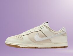 Terbongkar! Harga Sepatu Nike Terbaru 2025: Dari Running Sampai Lifestyle (Jangan Sampai Nyesel!)