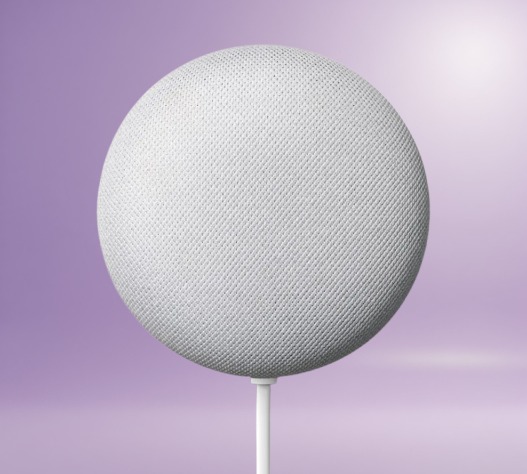 Google Nest Mini